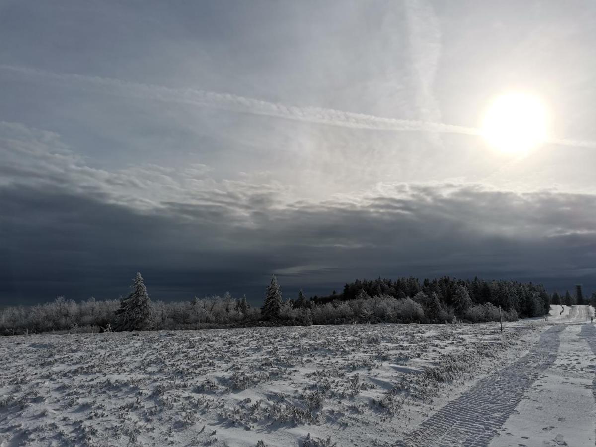 Gite Du Cerf Birkenwald Kültér fotó