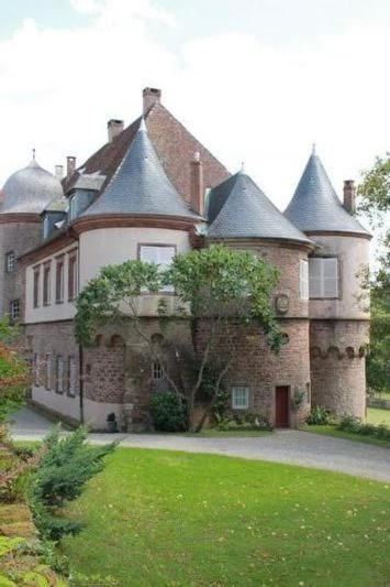 Gite Du Cerf Birkenwald Kültér fotó
