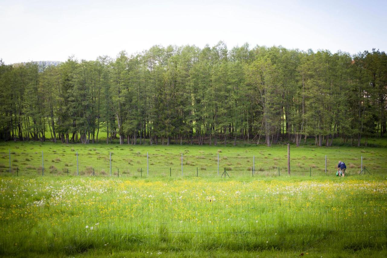 Gite Du Cerf Birkenwald Kültér fotó