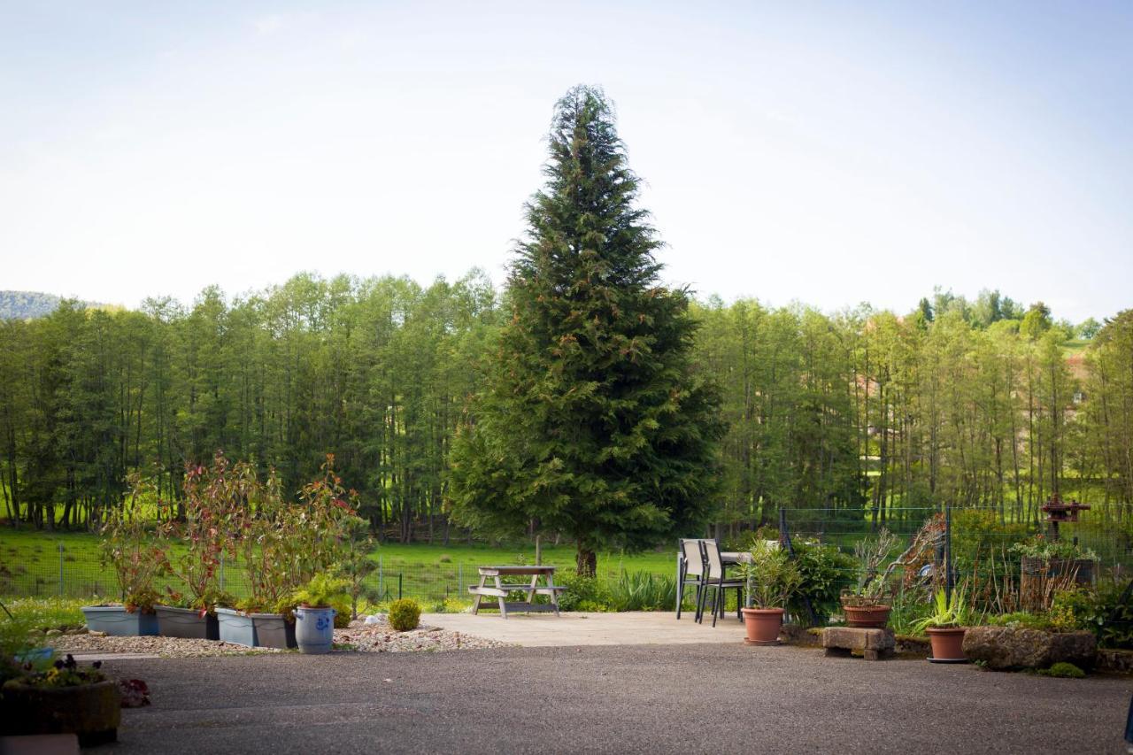 Gite Du Cerf Birkenwald Kültér fotó
